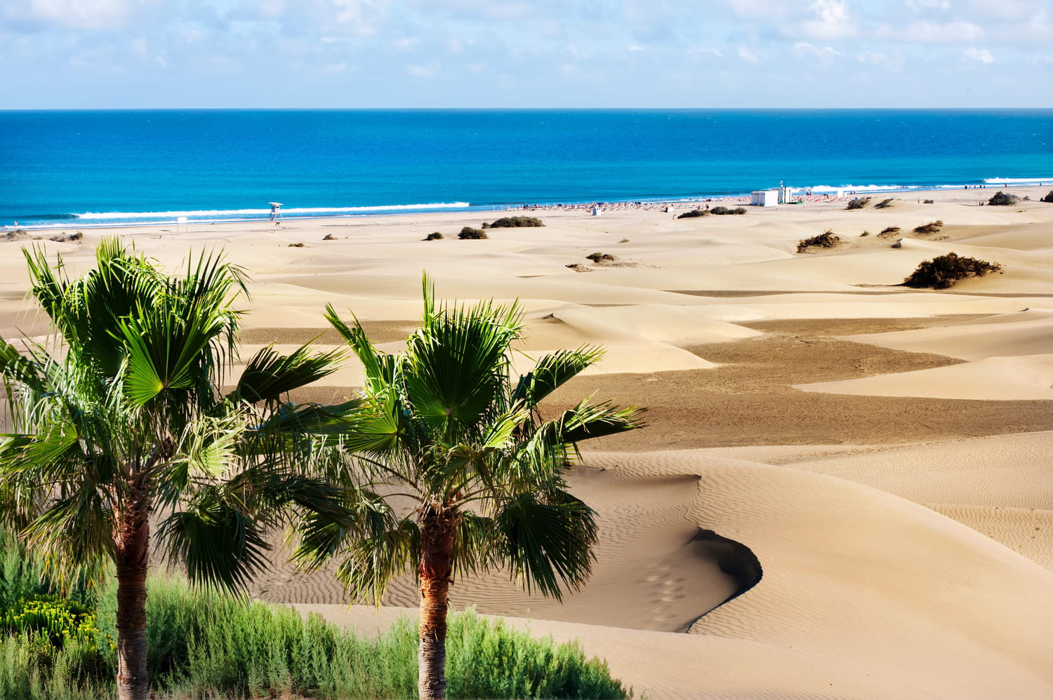 C'est le Sahara en bord de mer, cette plage unique est à visiter toute l'année - il y fait 25 degrés en ce moment !