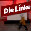 Linkspartei: Die Linke gewinnt an Mitgliedern seit BSW-Gründung und Ampelende