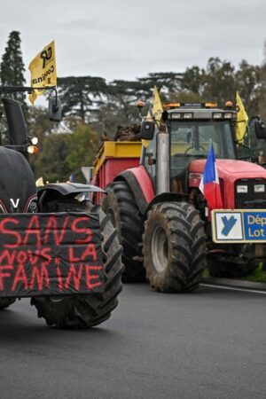 Agriculture, industrie, climat… quels seraient les gagnants et les perdants de l’accord UE-Mercosur ?