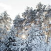 La météo de décembre, janvier et février se précise : des détails sur le froid et la pluie