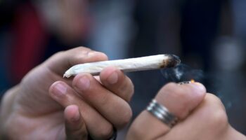 Trois élèves âgés de 16 à 17 ans ont été interpellés dans leur lycée à Rochefort (Charente-Maritime), pour détention et vente de cannabis, a-t-on appris vendredi de sources concordantes.