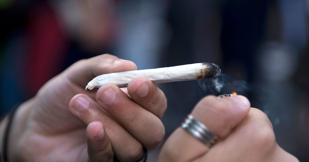 Trois élèves âgés de 16 à 17 ans ont été interpellés dans leur lycée à Rochefort (Charente-Maritime), pour détention et vente de cannabis, a-t-on appris vendredi de sources concordantes.