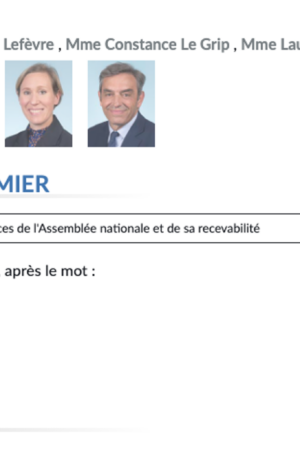 Réforme des retraites : pour éviter un vote sur l’abrogation, Renaissance multiplie les amendements farfelus