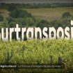 VIDEO. Crise agricole : la France fait-elle du zèle sur l'interdiction des pesticides ?