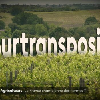 VIDEO. Crise agricole : la France fait-elle du zèle sur l'interdiction des pesticides ?