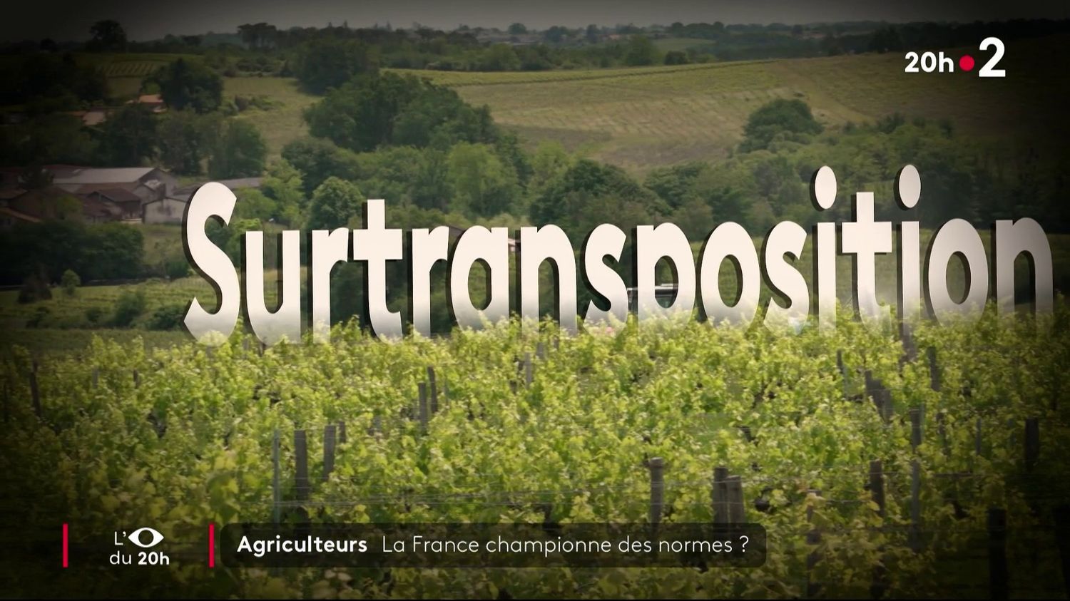 VIDEO. Crise agricole : la France fait-elle du zèle sur l'interdiction des pesticides ?