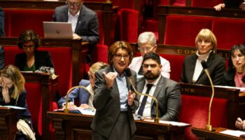 La ministre de l'Agriculture Annie Genevard s'exprime à l'Assemblée nationale le 12 novembre 2024.