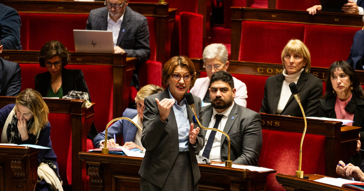 La ministre de l'Agriculture Annie Genevard s'exprime à l'Assemblée nationale le 12 novembre 2024.