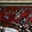 Le traité du Mercosur symboliquement rejeté lors d’un vote par l’Assemblée nationale