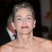 Sharon Stone chastises 'ignorant, arrogant' Americans in rant against fascism