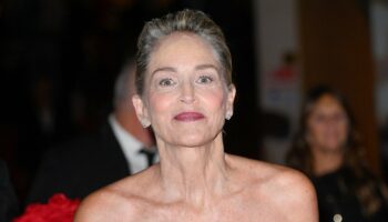 Sharon Stone chastises 'ignorant, arrogant' Americans in rant against fascism