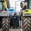 Colère des agriculteurs : la Coordination rurale vers le Parlement européen, le Mercosur au menu de l’Assemblée