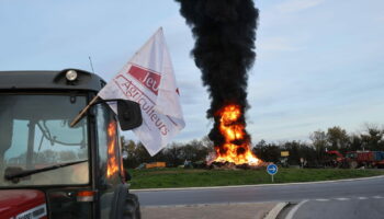 Crise des agriculteurs, en direct : la situation se tend à Nîmes, le point sur les blocages de ce mercredi