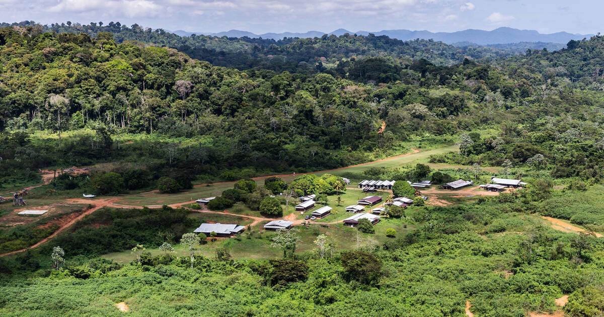 Montagne d’or en Guyane : la justice confirme la non-prolongation du projet minier