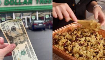 TikToker credited with saving Thanksgiving after sharing how to make dinner for $20 from Dollar Tree