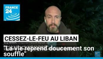 Cessez-le-feu au Liban : "La vie reprend doucement son souffle"