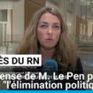 Procès du RN : la défense de Marine Le Pen plaide contre "l'élimination politique"