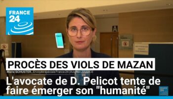 Procès des viols de Mazan : l'avocate de Dominique Pelicot tente de faire émerger son "humanité"