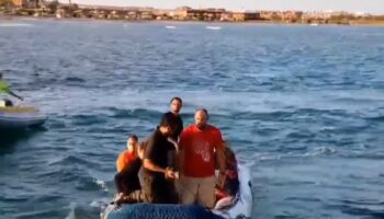 Egypt tourist boat latest: Diver reveals survivors pulled from cabins 40 feet underwater on sunken yacht