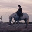 « Animale » : un drame fantastique en Camargue, inspiré du cinéma radical et féministe de Julia Ducournau