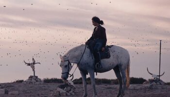 « Animale » : un drame fantastique en Camargue, inspiré du cinéma radical et féministe de Julia Ducournau