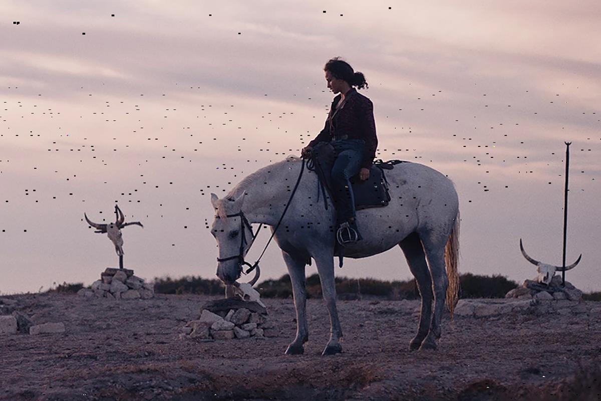 « Animale » : un drame fantastique en Camargue, inspiré du cinéma radical et féministe de Julia Ducournau