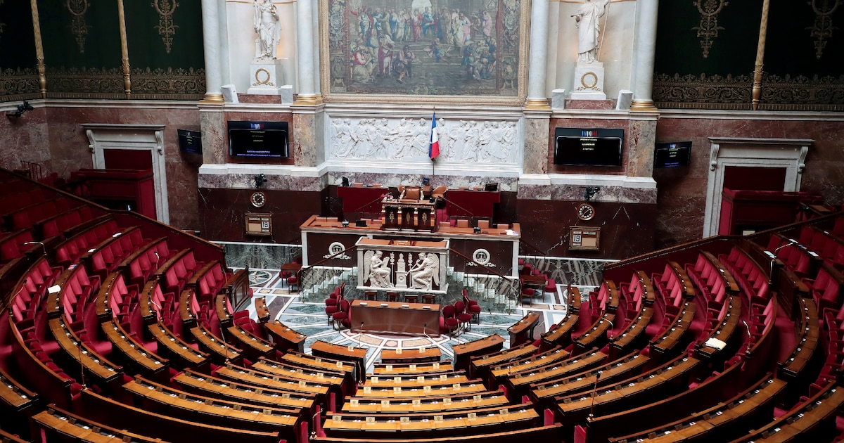 Vue générale de l'hémicycle de l'Assemblée nationale à Paris le 19 mai 2020