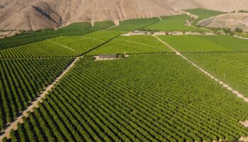 Pisco Valley