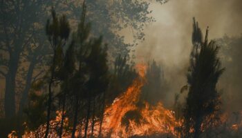 1,5 million de décès par an dans le monde : une étude pointe l’impact de la pollution de l’air due aux incendies