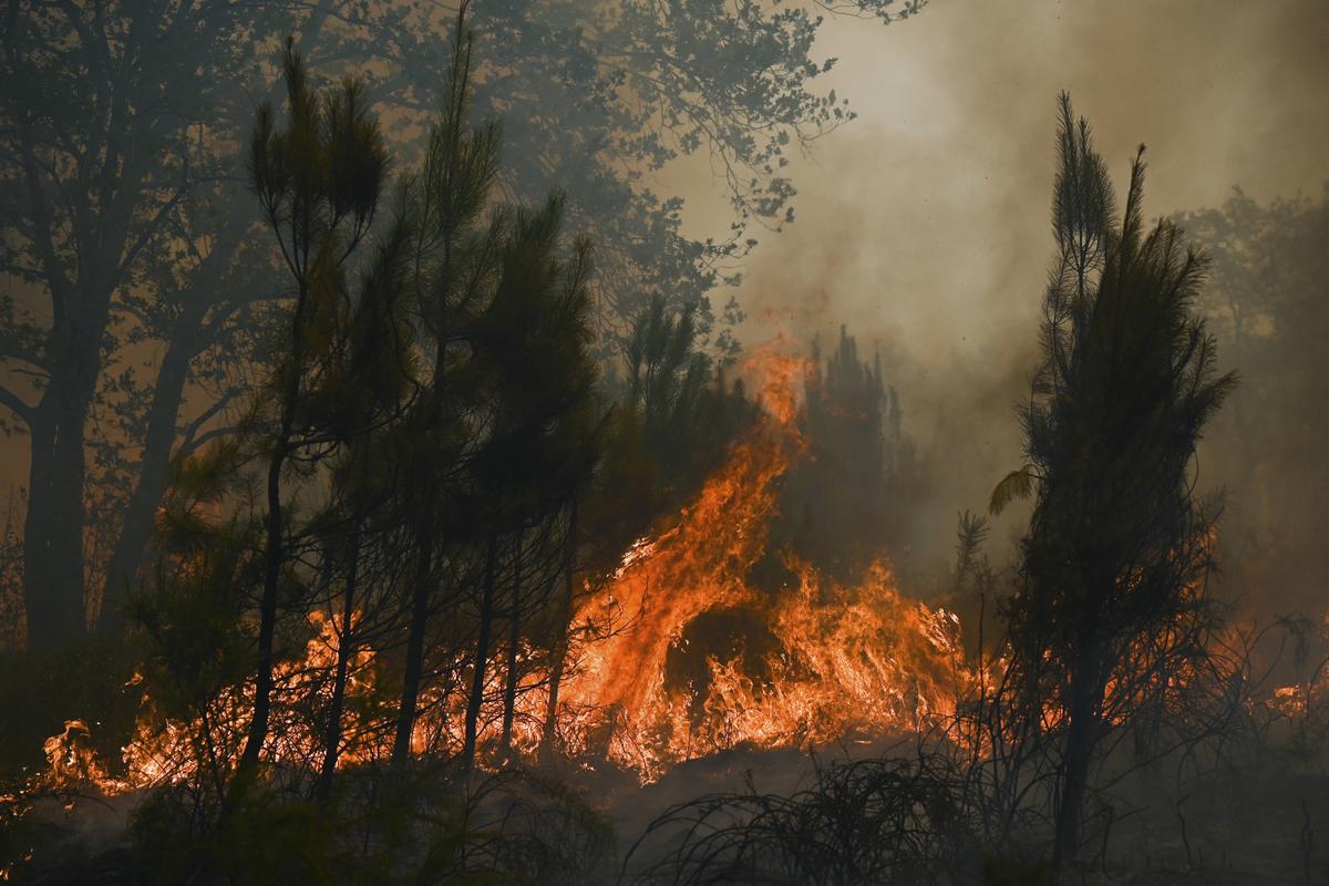 1,5 million de décès par an dans le monde : une étude pointe l’impact de la pollution de l’air due aux incendies