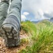 Hiker accidentally uncovers 280-million-year-old footprints in Italy