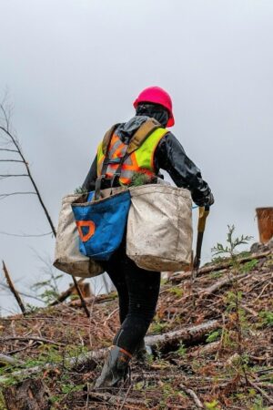 Wie man künftig Klimaschutz kaufen kann