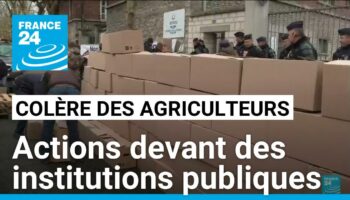 France : des centaines d'agriculteurs manifestent devant des institutions publiques