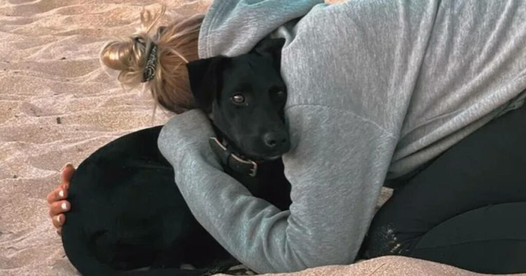 «Ce soir, après 7 jours de recherches, je vais enfin pouvoir dormir» : le soulagement de la propriétaire de la chienne disparue à Roissy