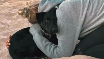 «Ce soir, après 7 jours de recherches, je vais enfin pouvoir dormir» : le soulagement de la propriétaire de la chienne disparue à Roissy