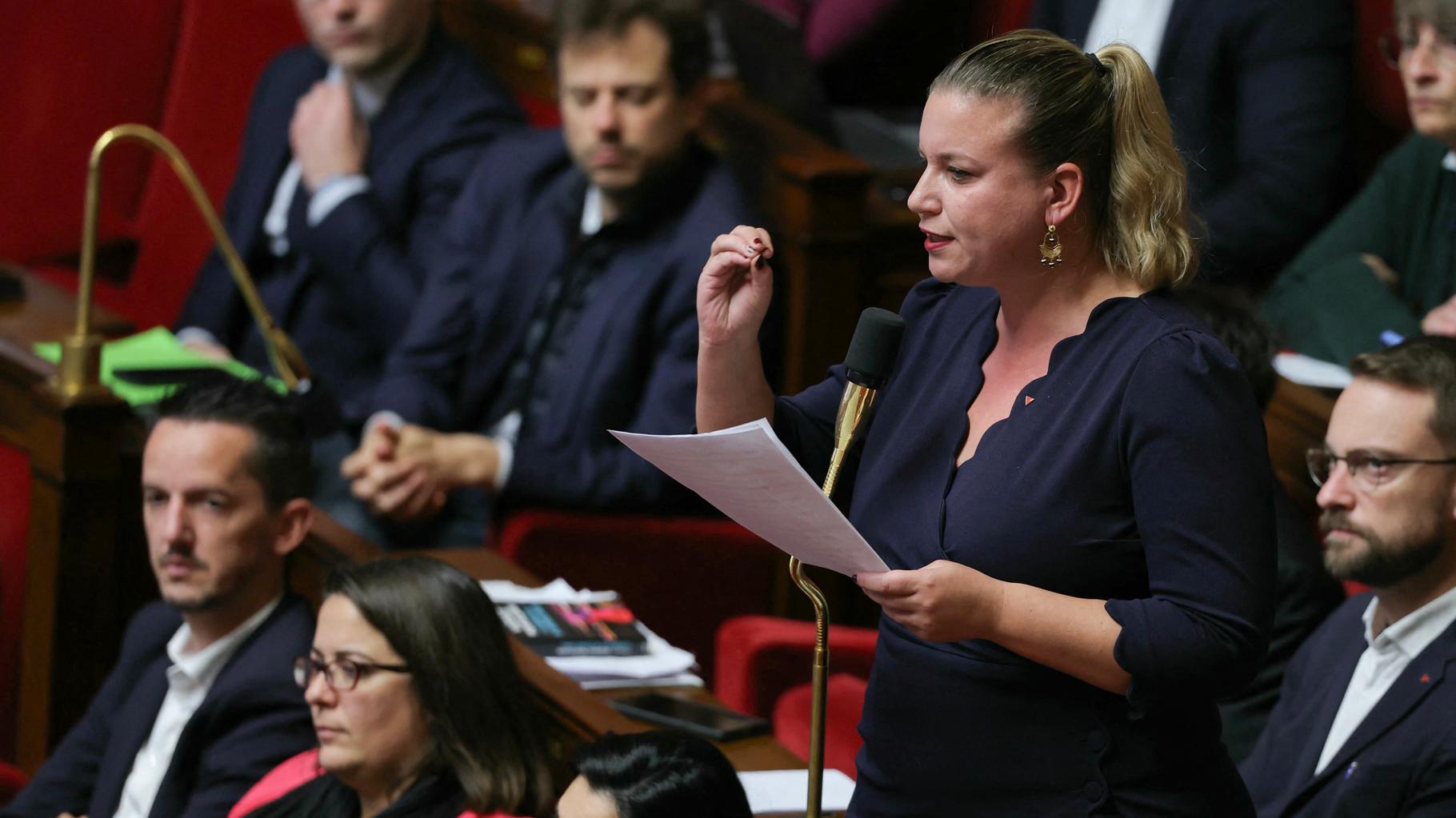 Pour La France insoumise, la journée de niche parlementaire a tourné au pugilat à l’Assemblée - REPORTAGE