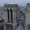 Notre-Dame de Paris : à la rencontre des bâtisseurs de cathédrale