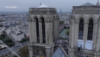 Notre-Dame de Paris : à la rencontre des bâtisseurs de cathédrale