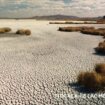 VIDEO. Titicaca, le lac meurt de soif