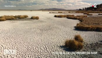 VIDEO. Titicaca, le lac meurt de soif