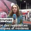 Côte d'Ivoire : le salon des ressources énergétiques et minières se tient à Abidjan