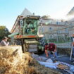 Blocages des agriculteurs, en direct : la FNSEA appelle à de nouvelles mobilisations les 9 et 10 décembre