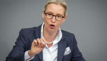 Wahlprogramm der AfD: AfD will Schwangerschaftsabbrüche weitgehend einschränken