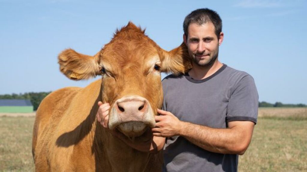 Salon de l’agriculture : Oupette, la vache star de la prochaine édition viendra accompagner de son veau