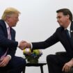 Au Brésil, Jair Bolsonaro mise sur Donald Trump et son élection pour revenir en politique