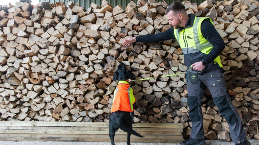 Cape SPC sniffer dog