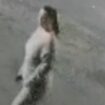 Police in Derbyshire are trying to track down this woman who was pictured outside The White Swan, in Meden Square, Pleasley, just before 8pm on 26 November. Pic: Derbyshire Constabulary