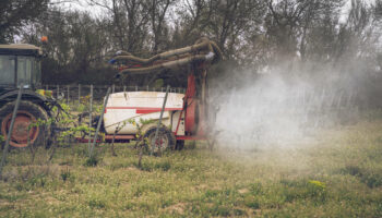 Colère des agriculteurs : pesticides, OFB… Le gouvernement annonce des «simplifications» contre les «boulets» des normes