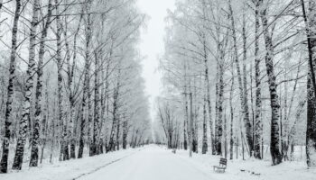 Météo : à cette date, la France entre dans l'hiver météorologique et les changements sont nombreux