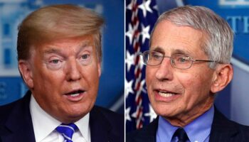 Fauci ripped over new paper criticizing Trump on coronavirus, promoting natural origin theory: 'Embarrassment'